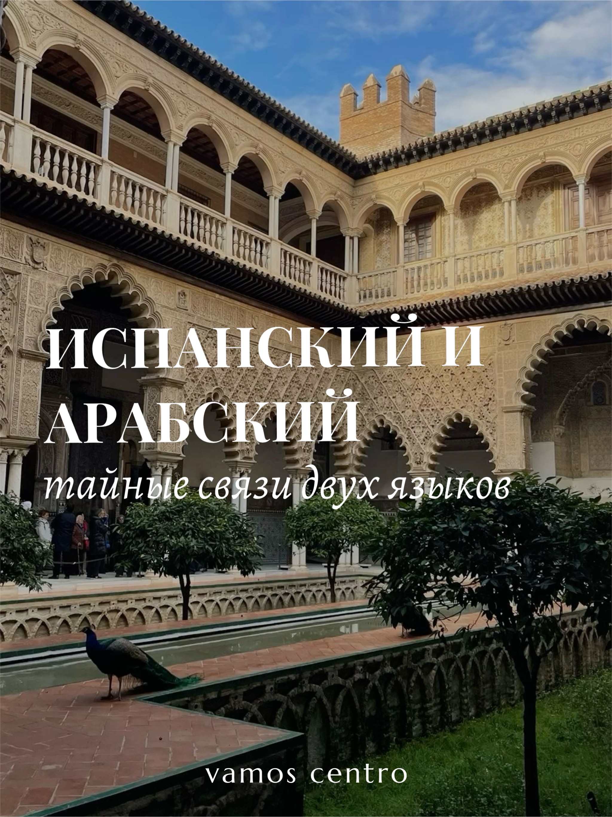 связь между испанским и арабским